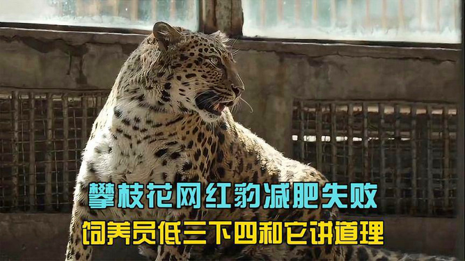迷人的微笑   第4页
