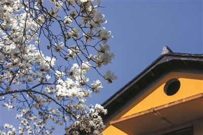 花开馥郁 第5页