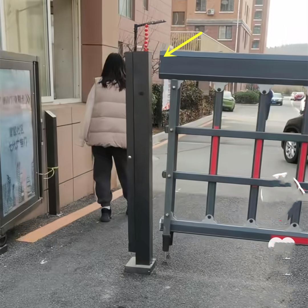 我有的唯有忍耐 第5页