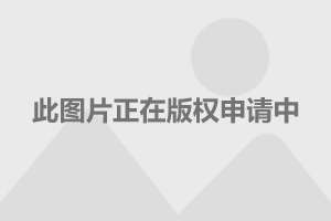 季末。花已残 第5页