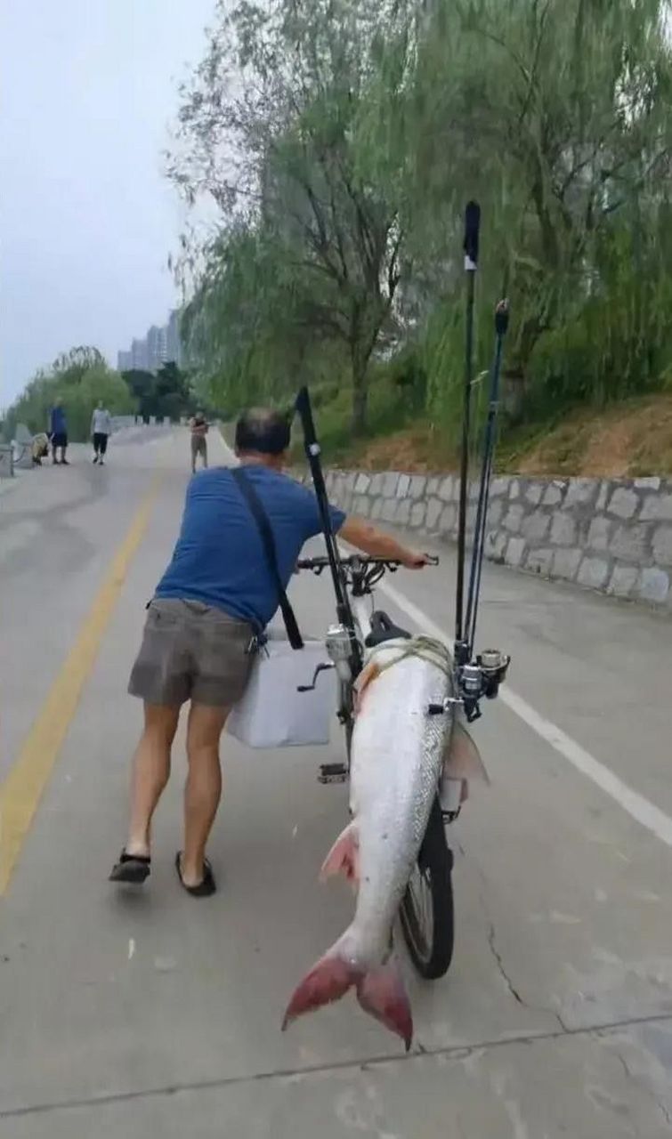 追逐阳光的心  _1 第4页