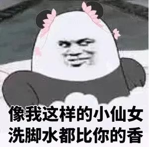 2025年5月13日 第28页