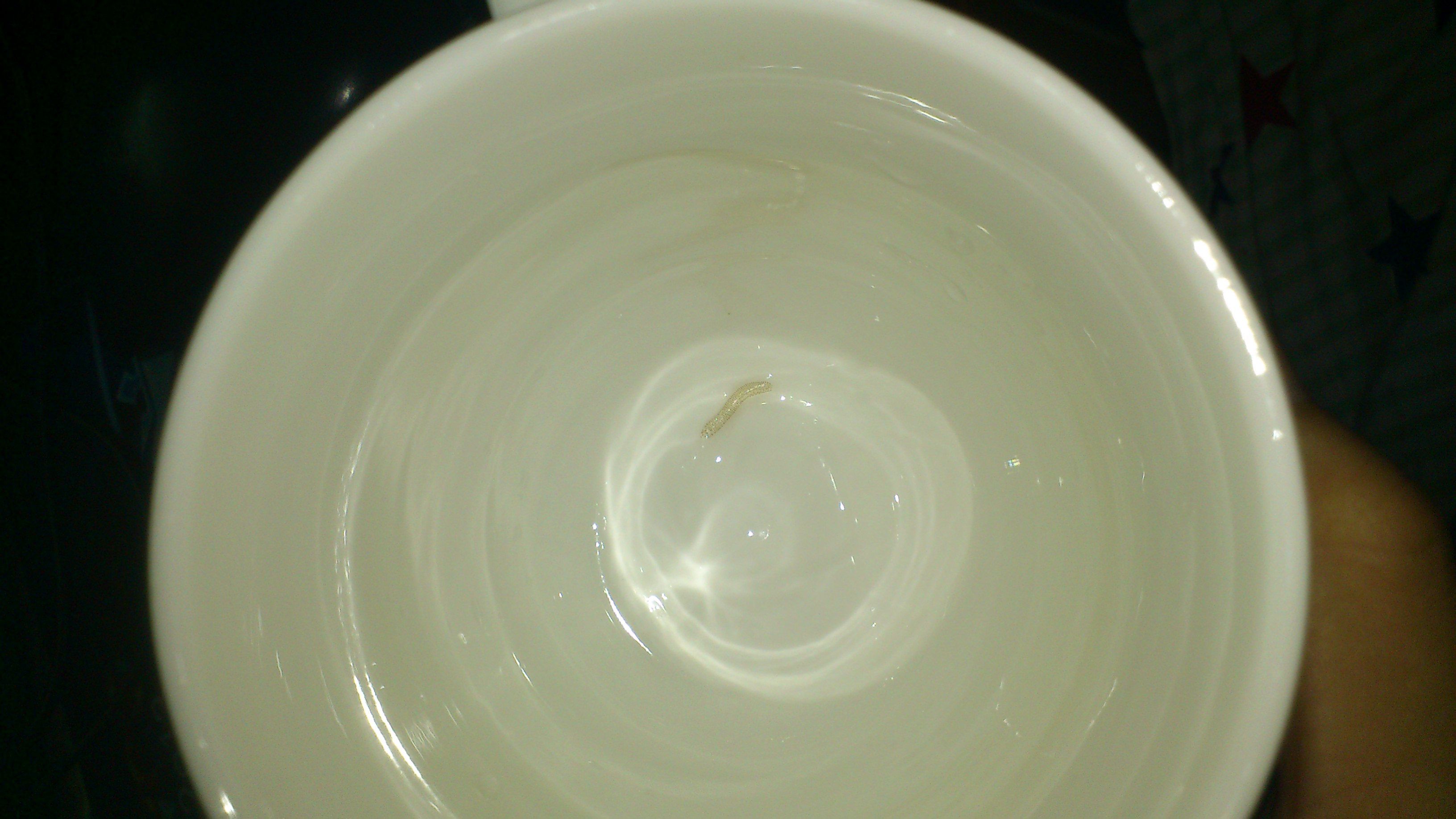 失落的旋律  