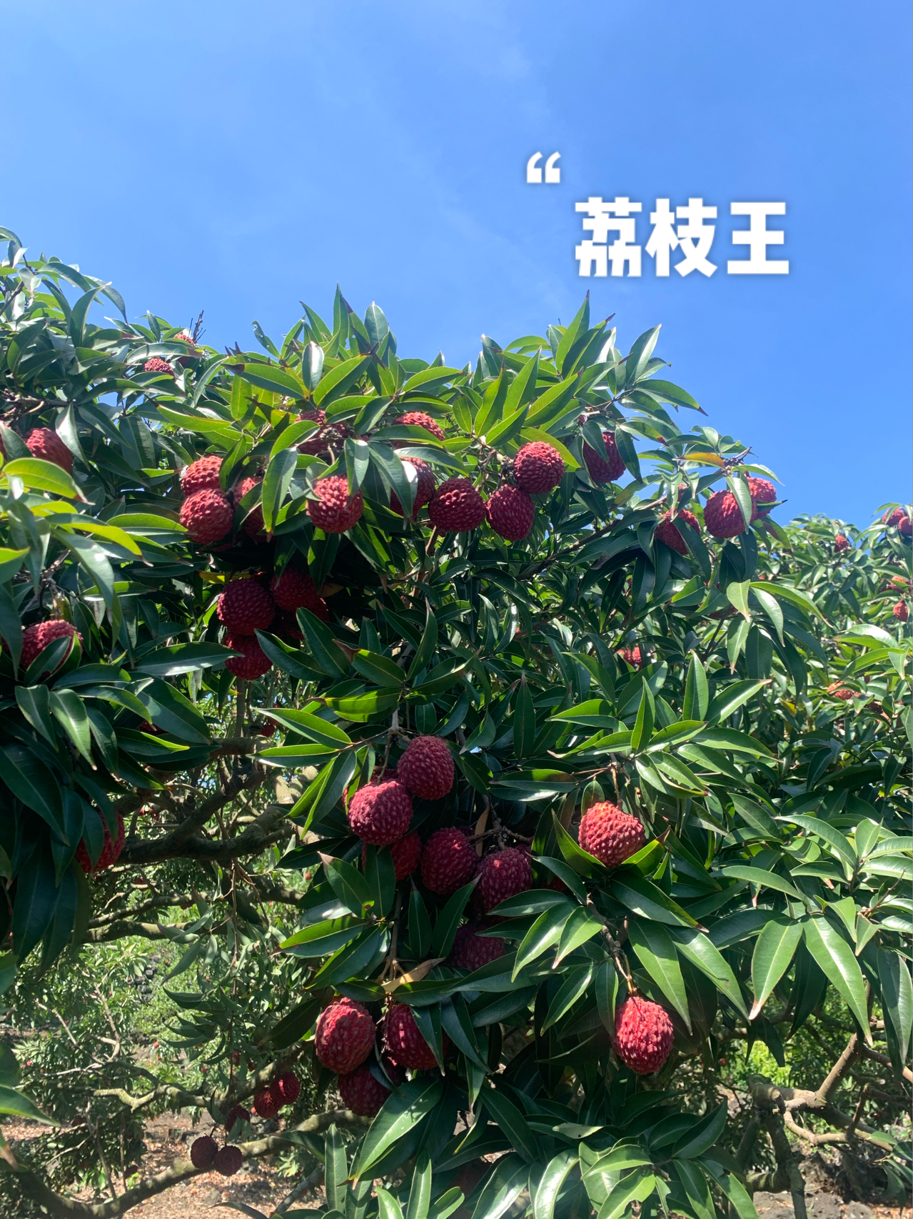 2025年6月 第66页