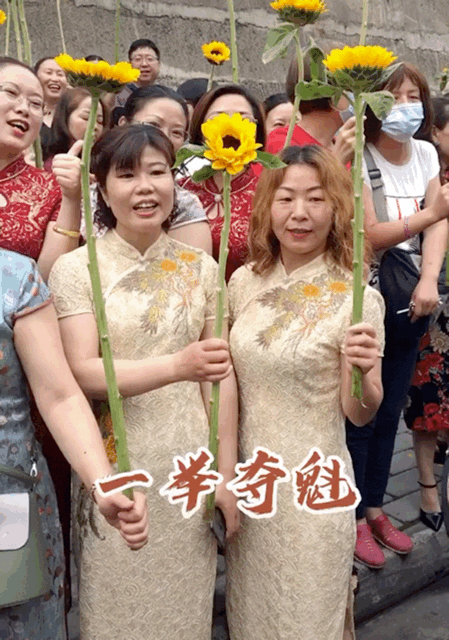 穿旗袍举向日葵的意义，一种独特的时尚与情感表达