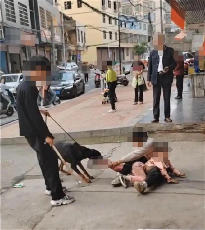 景区回应女孩遭男子水枪攻击致失明事件分析
