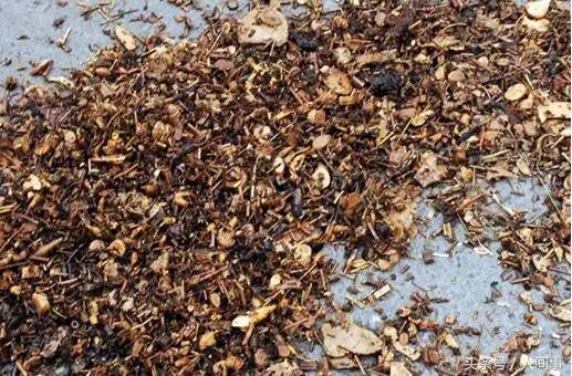 药渣子倒路上，一场关于责任与担当的探讨
