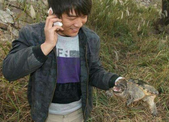 男子意外钓到鳄鱼，一次惊心动魄的钓鱼经历