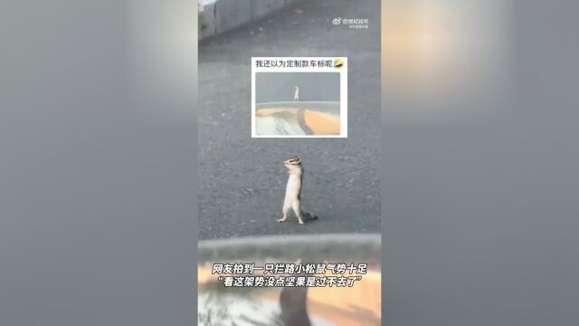 国补继续投入达1380亿元，助力经济腾飞的新动力