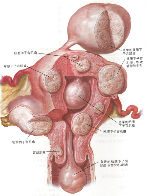 娱乐生活 第241页