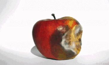 游戏专题 第224页
