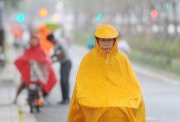 港澳新闻 第143页