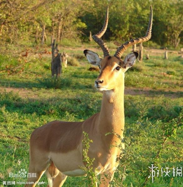 热点生活 第143页