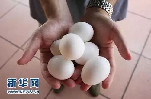 第1043页