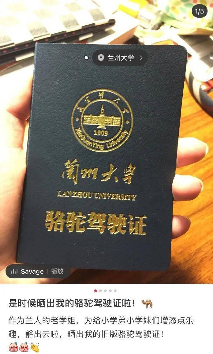 地方新闻 第99页