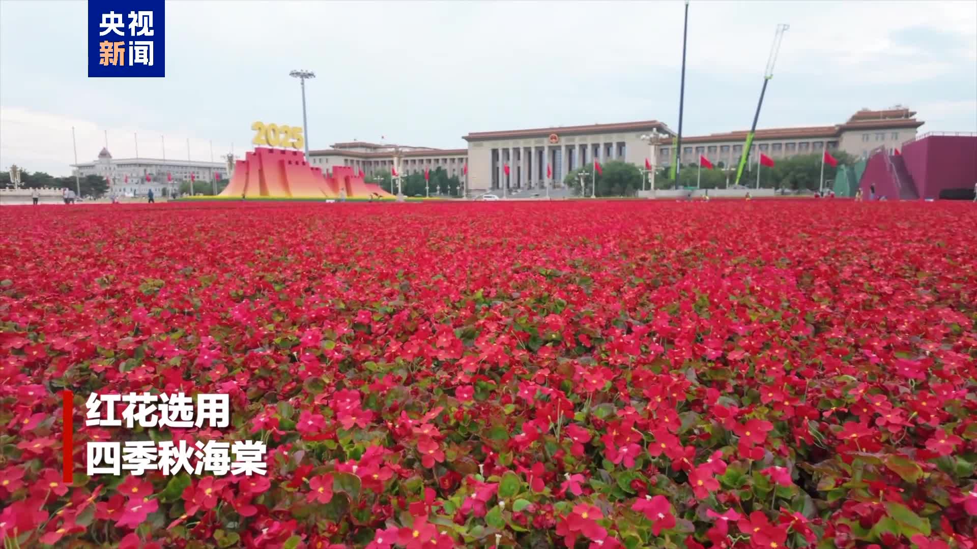 娱乐生活 第9页
